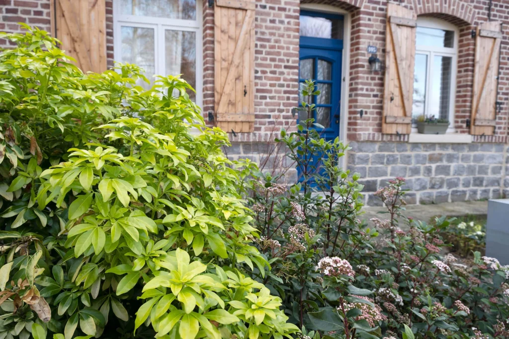 Devanture de maison style jardin à l'anglaise et lumineux avec feuillage doré