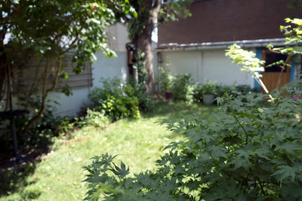 Un jardin ombragé par des grands arbres et un érable du japon