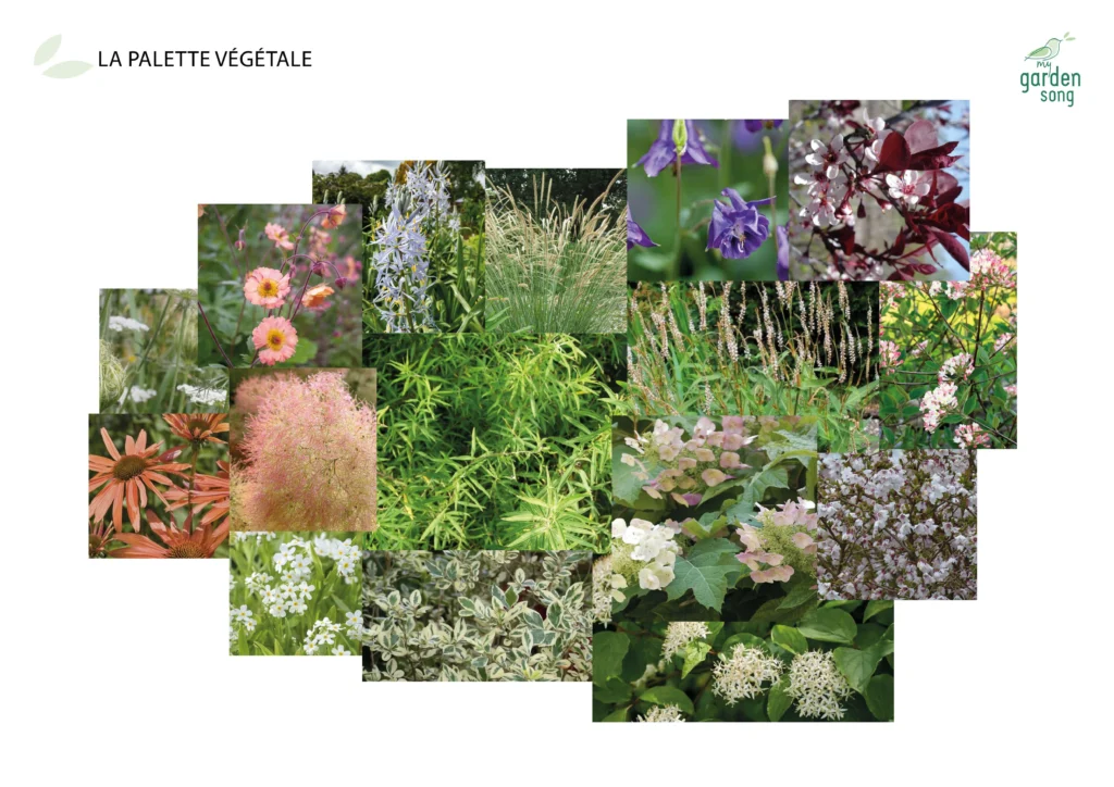 palette végétale avec arbres, arbustes, vivaces, graminées et bulbes