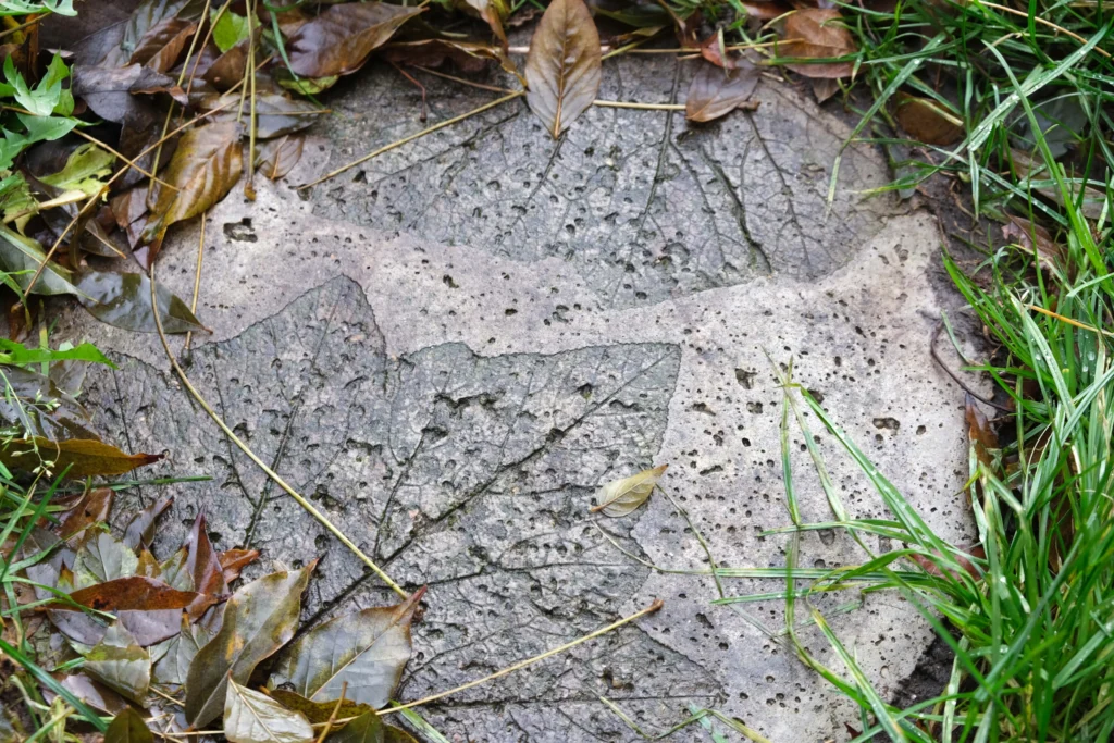 Pas japonais en béton fibré avec empreinte de feuille de courge